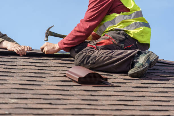 Best Roof Repair Services  in Wadena, MN