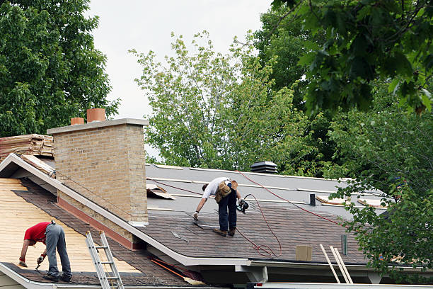 Best Gutter Installation and Roofing  in Wadena, MN
