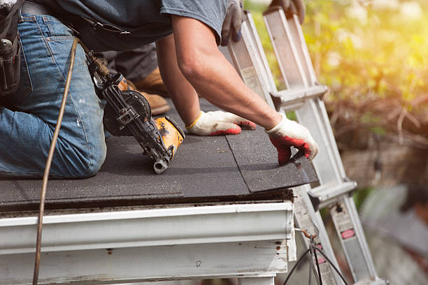 Best Roof Gutter Cleaning  in Wadena, MN