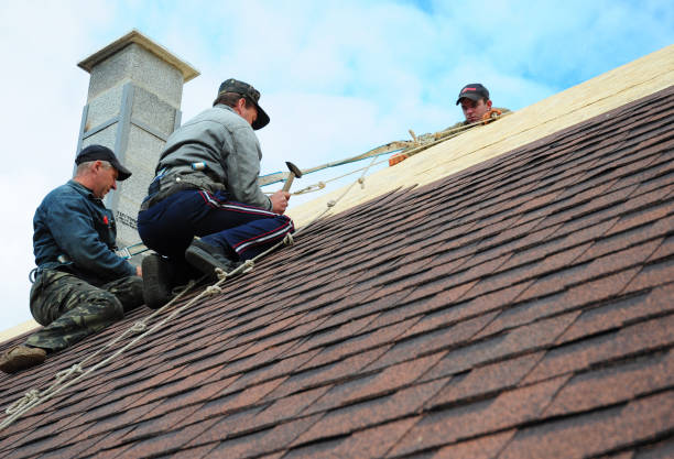 Best Flat Roof Repair Services  in Wadena, MN